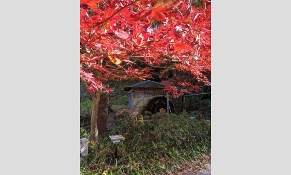 COSSAN at 町田 薬師池公園（1日目） イベント画像3