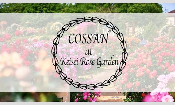 COSSAN at 京成バラ園 【ハーベスト ローズガーデン】 イベント画像1