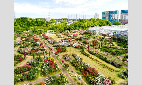 COSSAN at 京成バラ園2021 イベント画像1