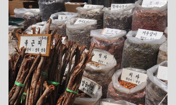 黒田福美の韓方まるわかり講座~第2回 許浚の偉業を紐解く(郷薬と漢方薬・薬茶)~ イベント画像2