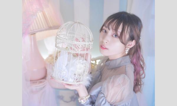 11/25(土)スタジオネロリ イベント画像3