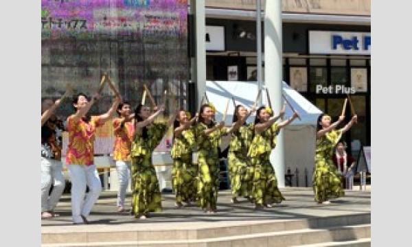 ブルーマスター大感謝祭 2025 イベント画像2