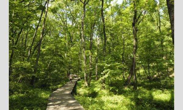 こみやこうえんキッズワークショップ イベント画像3
