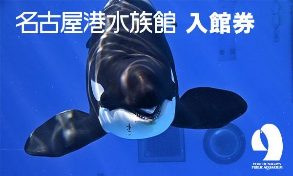 B.5/6-7/16 名古屋港水族館 電子チケット愛知県 - パスマーケット