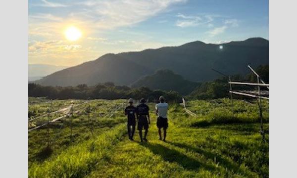 【10/5(土)】GREENCOLLARS DAY@極旬江草農園(昼食付き★) イベント画像2