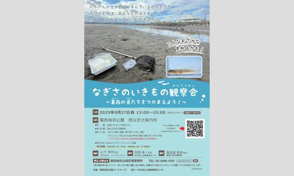 なぎさのいきもの観察会～葛西の魚たちをつかまえよう！～ イベント画像1