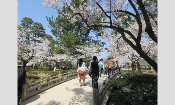 No.23　桜と庭：お花見前の学び①　「桜と日本庭園」 イベント画像2