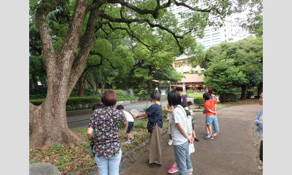 No.30　＜TOKYO GREEN BIZ 関連講座4＞樹木ハカセ入門！木のふしぎを体験しよう　秋 in東京イベント