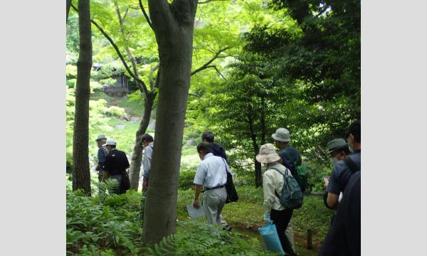 No.14　殿ケ谷戸庭園の植物 イベント画像2