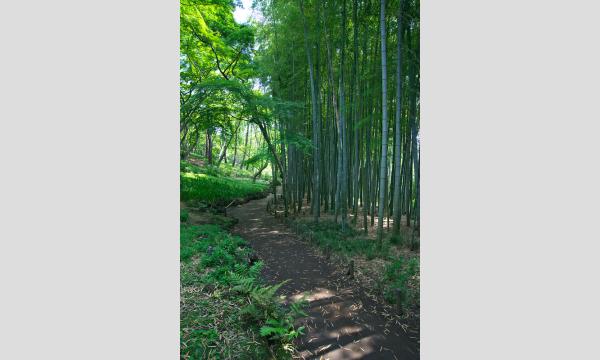 No.14　殿ケ谷戸庭園の植物 イベント画像3