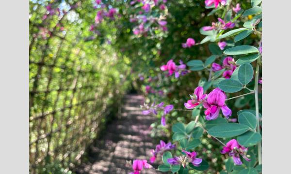 No.４　向島百花園ガイドボランティア養成講座(全7回) in東京イベント