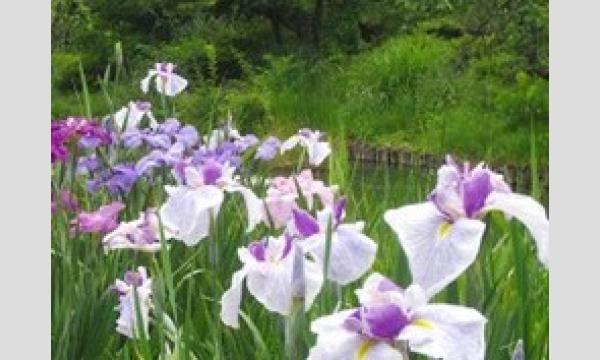 No.４　向島百花園ガイドボランティア養成講座(全7回) イベント画像3