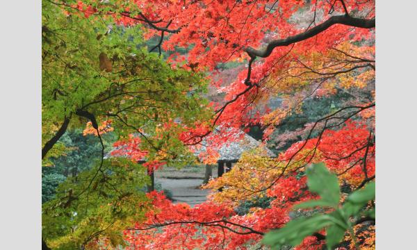 No.7　明治神宮連携講座①　明治神宮御苑・その造園の変遷を学ぶ in東京イベント
