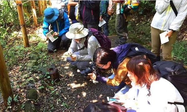 公益財団法人 東京都公園協会 緑と水の市民カレッジ事務局のみちくさ散歩　－身近な公園で見つけよう！小さな大自然－イベント
