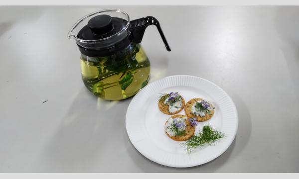 No.20 こんなに楽しいハーバルライフ Lesson3 ハーブで食卓を彩る イベント画像3
