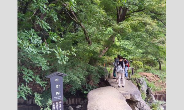 No.3　＜TOKYO GREEN BIZ 関連講座1＞　樹木医と学ぼう～六義園の樹木と歴史を巡る～ イベント画像3