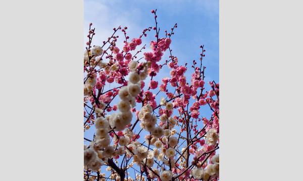 No.10　明治神宮連携講座④　－写真撮影を通じて変化する季節を楽しむ－殿ヶ谷戸庭園 イベント画像3
