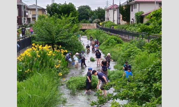 No.28　東久留米市のわき水の川「黒目川」で魚取り in東京イベント