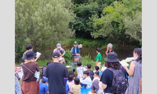 No.28　東久留米市のわき水の川「黒目川」で魚取り イベント画像2