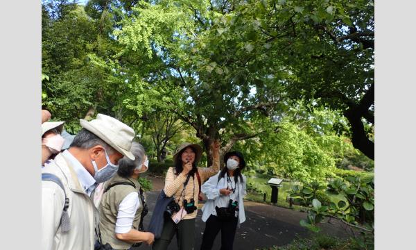 No.24　都心の植物観察！「戸山公園の植物たち」 in東京イベント