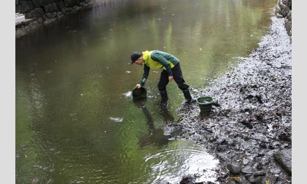 No.6＜TOKYO GREEN BIZ 関連講座3＞水の中の生きもの観察会　浜離宮恩賜庭園　高校生以上の部 in東京イベント