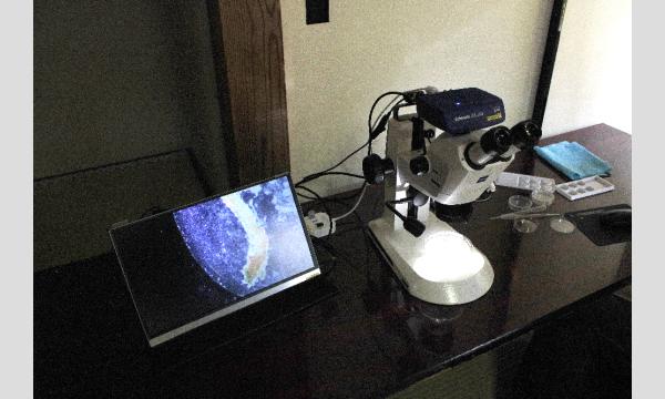 No.6＜TOKYO GREEN BIZ 関連講座3＞水の中の生きもの観察会　浜離宮恩賜庭園　高校生以上の部 イベント画像2