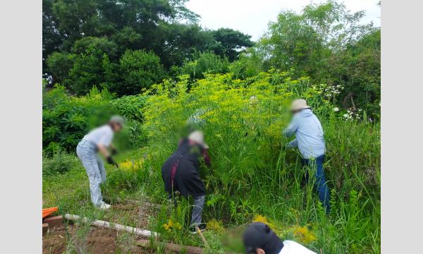 No.18　こんなに楽しいハーバルライフ Lesson1　ハーブ栽培にチャレンジ in東京イベント