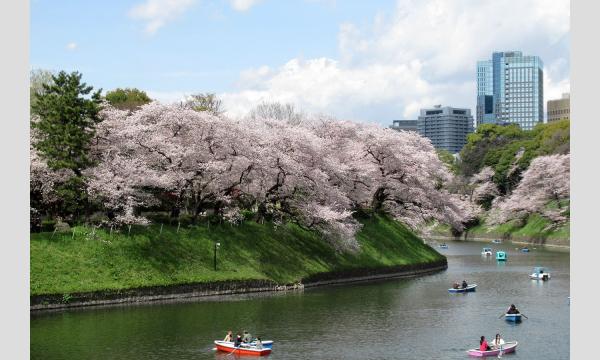 No.25　桜と庭：お花見前の学び③　「桜とサクラ・花見の基礎知識」 イベント画像3