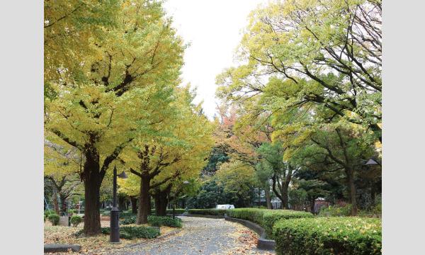 公益財団法人 東京都公園協会 緑と水の市民カレッジ事務局の公園で発見！道草さんぽイベント