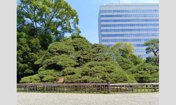 No.3　浜離宮恩賜庭園ガイドボランティア養成講座(全7回) イベント画像3