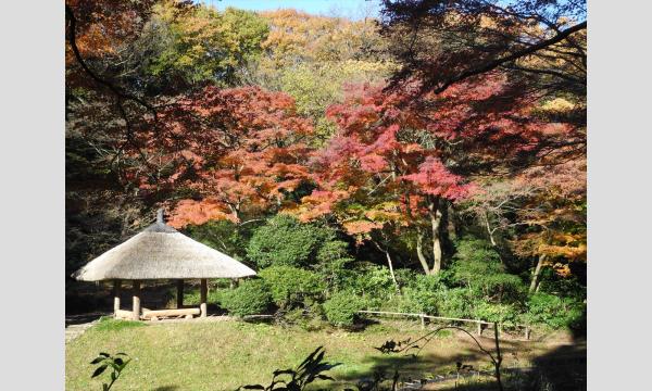 No.8　明治神宮連携講座②　－写真撮影を通じて変化する季節を楽しむ－明治神宮御苑 in東京イベント