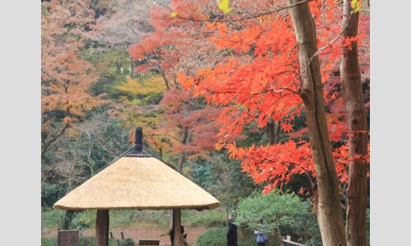No.8 明治神宮連携講座② -写真撮影を通じて変化する季節を楽しむ-明治神宮御苑 イベント画像2