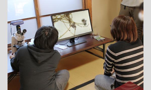 No.10 ＜TOKYO GREEN BIZ 関連講座3＞「水の中の生きもの観察会　浜離宮恩賜庭園」　高校生以上の部 in東京イベント