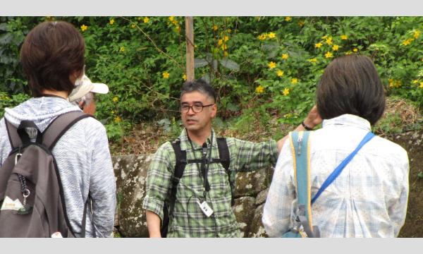 No.25　みちくさ散歩　－身近な公園で見つけよう！小さな大自然－ アジサイ咲く練馬城址公園を訪ねる イベント画像3
