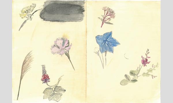 No.13　万葉の花を味わう―秋の野の花 イベント画像2