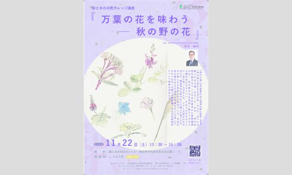 No.13　万葉の花を味わう―秋の野の花 イベント画像3