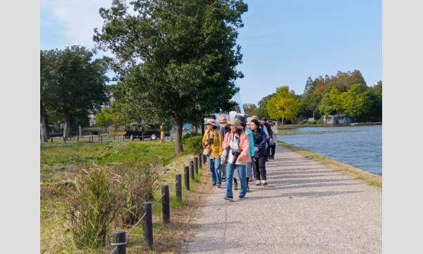 No.21　丘陵地の植物観察！「長沼公園の植物たち」 in東京イベント