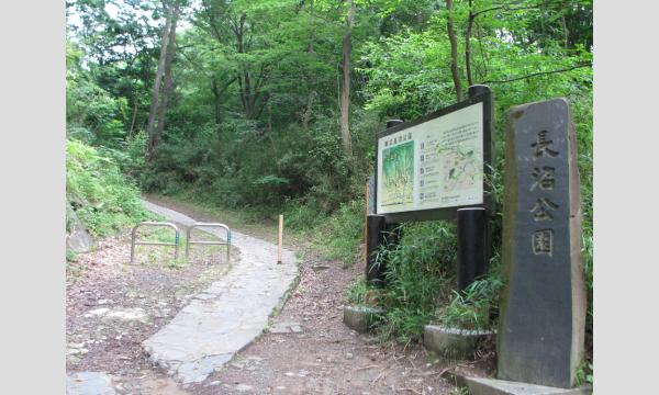 No.21　丘陵地の植物観察！「長沼公園の植物たち」 in東京イベント
