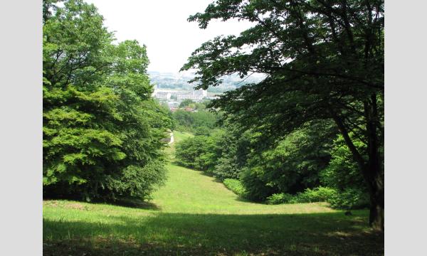 No.21　丘陵地の植物観察！「長沼公園の植物たち」 イベント画像3