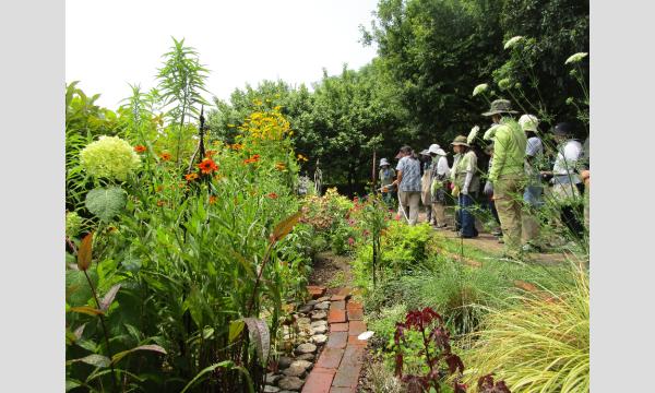 No.2　ガーデナー入門講座 中級編前期（全6回） in東京イベント