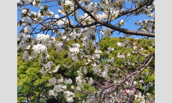 No.7　皇居東御苑の歴史と花巡り in東京イベント