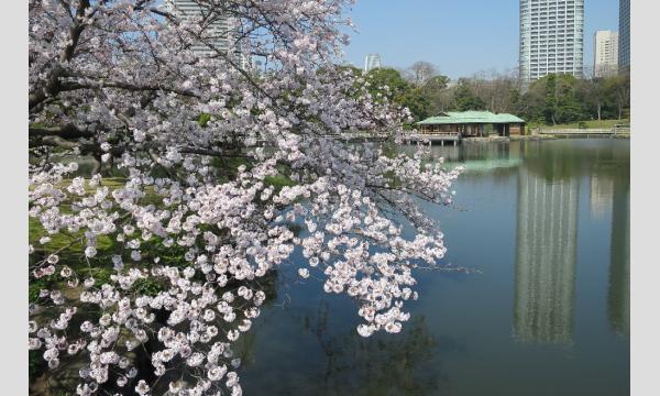 No.16　浜離宮恩賜庭園の概要と植物 イベント画像3