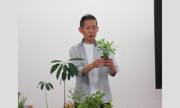 No.22　ハーブ・野菜の水耕栽培 イベント画像3