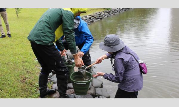 No.5＜TOKYO GREEN BIZ 関連講座3＞水の中の生きもの観察会　浜離宮恩賜庭園　小学3年生～中学3年生の部 in東京イベント