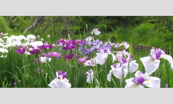 向島百花園ガイドボランティア養成講座事前説明会 イベント画像2