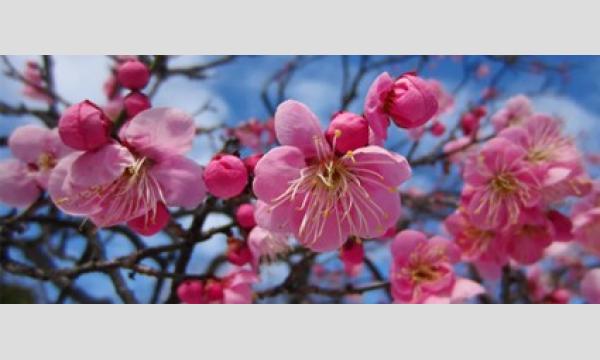 向島百花園ガイドボランティア養成講座事前説明会 イベント画像3