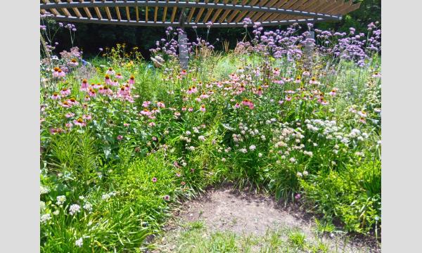 No.1　代々木公園「クラウド」ガーデンガーデナー養成講座(全10回) in東京イベント