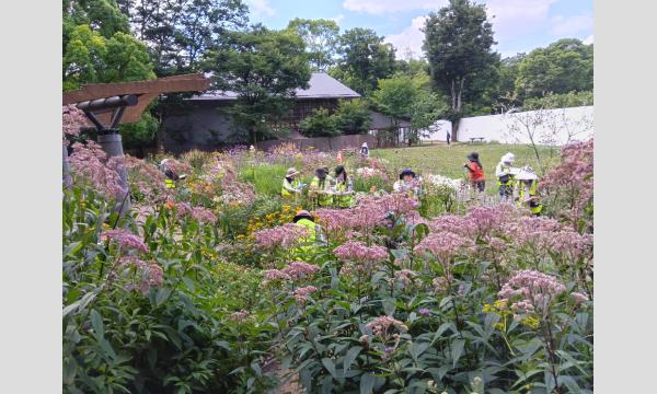 No.1　代々木公園「クラウド」ガーデンガーデナー養成講座(全10回) イベント画像2