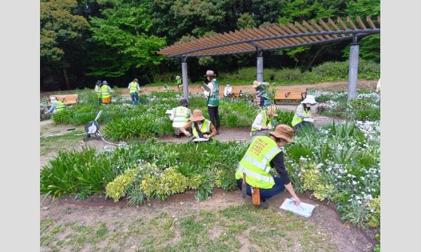 No.1　代々木公園「クラウド」ガーデンガーデナー養成講座(全10回) イベント画像3