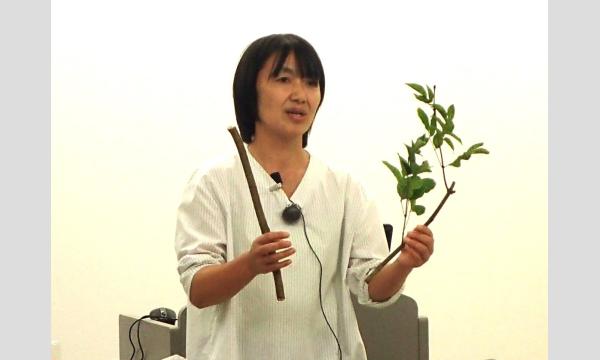 No.27 <TOKYO GREEN BIZ 関連講座6>公園の涼しいを探せ!サーモカメラ散歩 イベント画像2